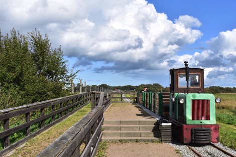Lille Vildmose train